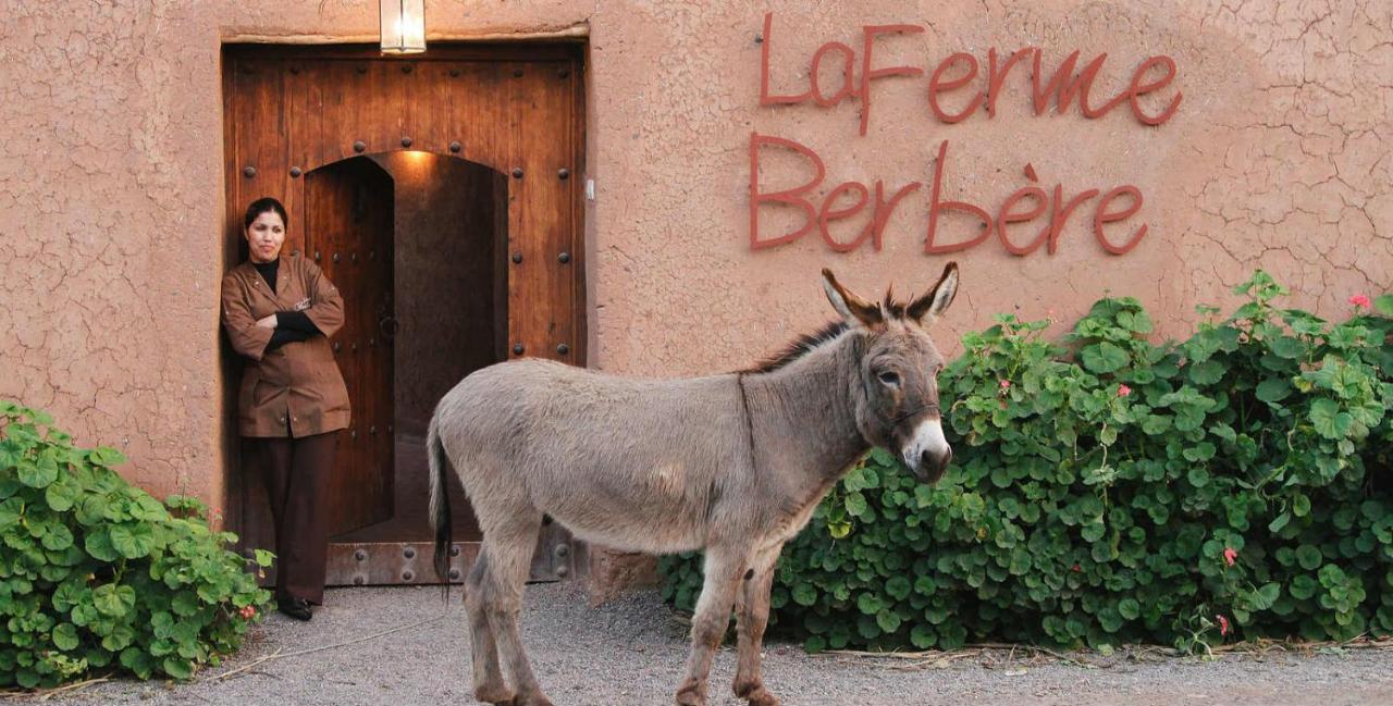 El Harkat La Ferme Berbere Adult Only Bed & Breakfast エクステリア 写真