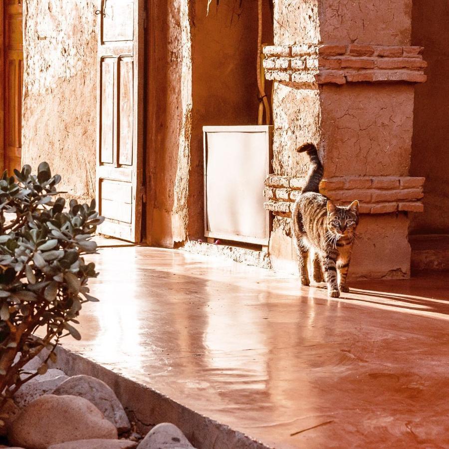 El Harkat La Ferme Berbere Adult Only Bed & Breakfast エクステリア 写真