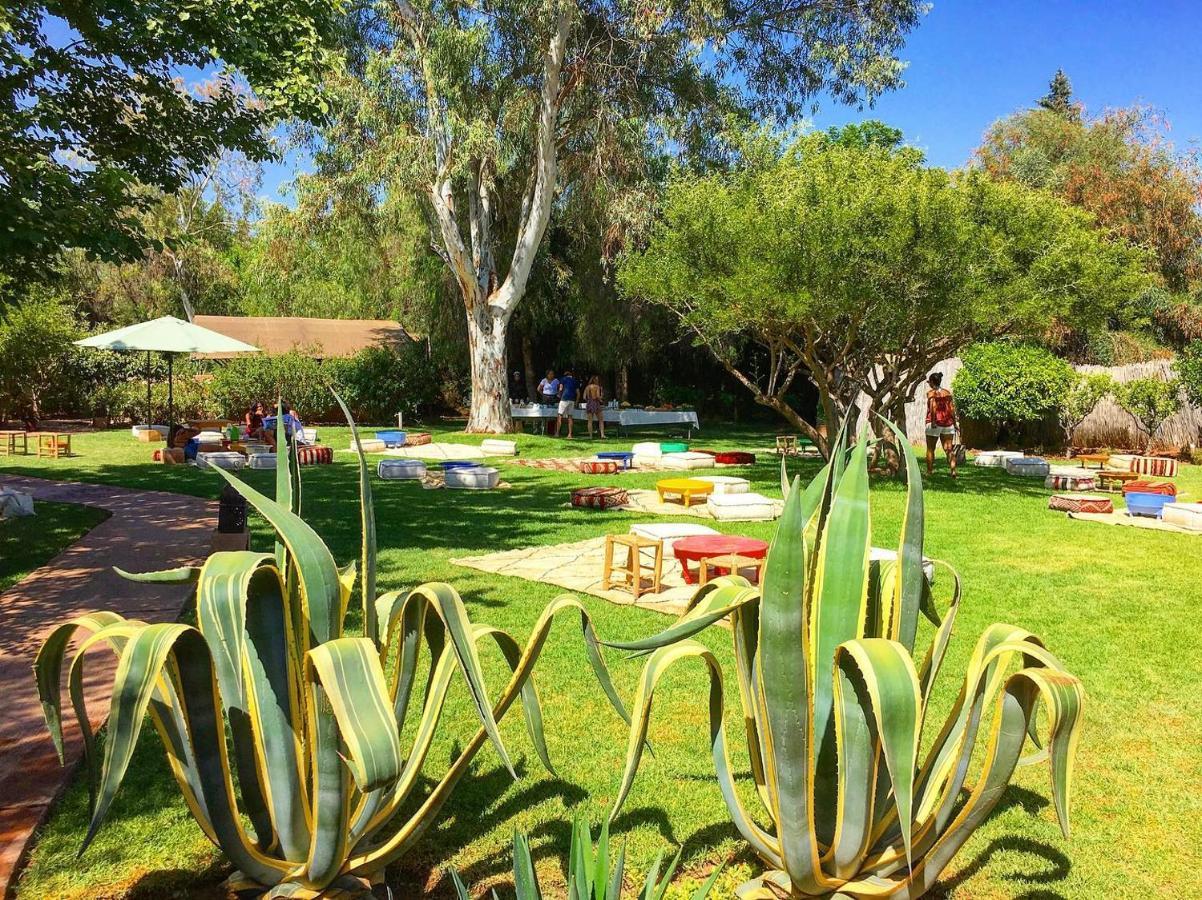 El Harkat La Ferme Berbere Adult Only Bed & Breakfast エクステリア 写真