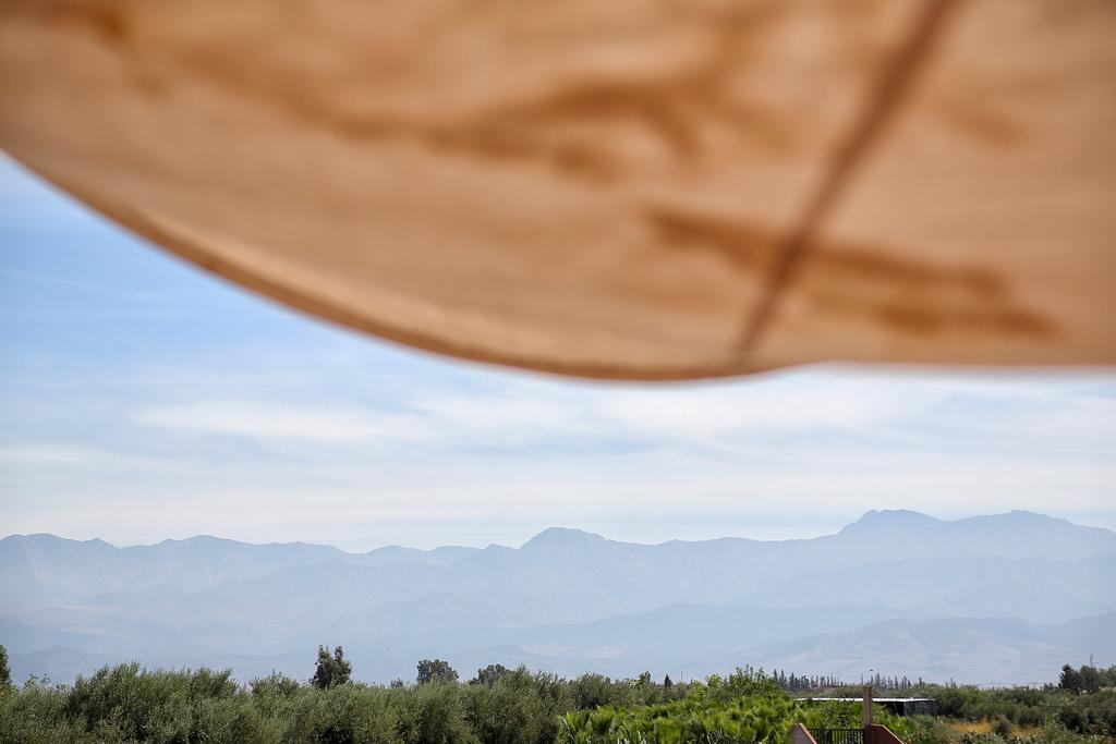 El Harkat La Ferme Berbere Adult Only Bed & Breakfast エクステリア 写真